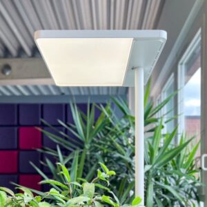 Auf einen Blick   GLAMOX Stehleuchte ADAPT-F LED PIR-Sensor mit Tageslichtregelung Farbe: weiß  Leuchtmittel: LED Lumenpaket: 11.000 Lumen out Lichtverteilung Indirekt-/Direktstrahlend: 84/16 Optik: Mikroprismatische Abdeckung Betriebsgerät: DALI Lichtfarbe: 840 Mit 2