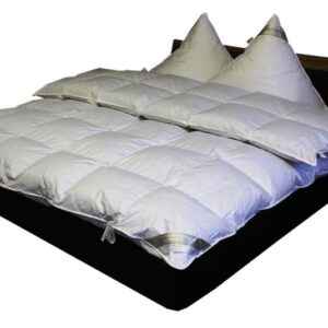 Hofmann 8cm Hochsteg Winter Daunenbett Daunendecke 6x6 200x200 100% neue Daunen EAN:0785983359887