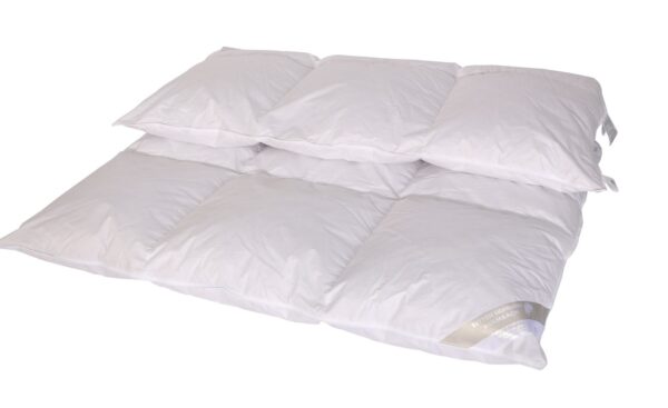 Luxus Winter Kassetten Daunenbett Daunendecke 3x4 155x200 cm 100% neue Daunen EAN:0785983359955