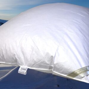 Hofmann Ballonbett Oberbett Federbett Schüttelbett 30% Daunen 135x200 warm 2000g EAN:0791732639018