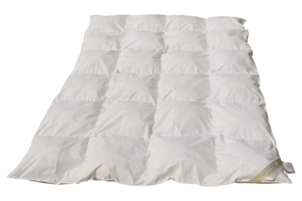 Betten Hofmann Basic Kassettenbett 4x6 Mikrofaser Ganzjahresdecke 155x220 cm EAN:0791732643008