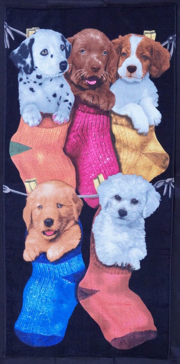 Bouton Strandtuch Liegetuch Saunatuch Duschtuch 76x152 Puppies Socken Hunde 4693 EAN:7892409646933