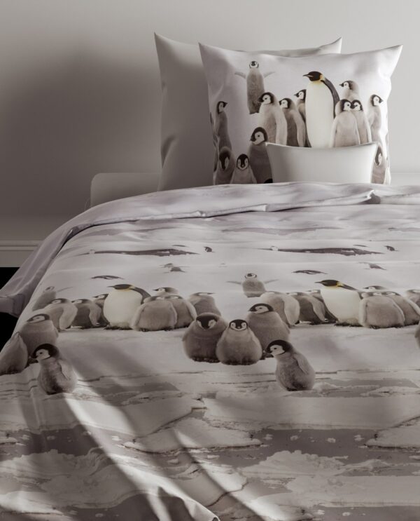 Zo! Home Flanell Bettwäsche 135x200 cm Tadzio White Pinguine Eis Antarktis grau EAN:8718518357593