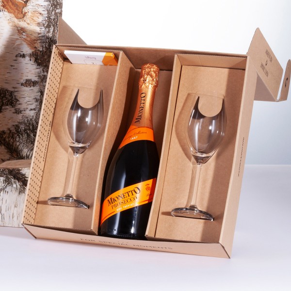 SILWY Prosecco Set - 2 x Kristallgläser - Metall-Nano-Gel-Pads - Prosecco 0