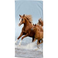 Strandtuch Free Multi Polyester B/L: ca. 75x150 cm